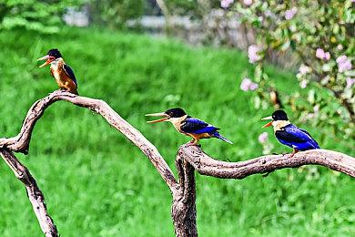 《羊蹄山之魂》销量疲软 索尼疑似撤下市场推广、不想继续亏钱